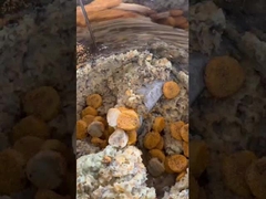 forming and  coating prodcution line 