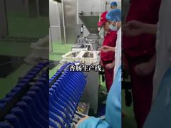 Automatic Sausage Processing Machine Line Vacuum Filling Twisting Clipping Hanging Equipment